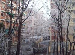 galaverna sacconago busto arsizio 5-1-2009 inverno freddo gelo brina meteo