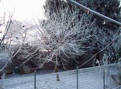 galaverna sacconago busto arsizio 5-1-2009 inverno freddo gelo brina meteo