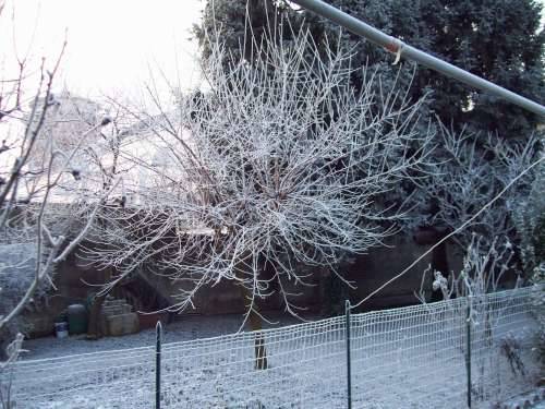 galaverna sacconago busto arsizio 5-1-2009 inverno freddo gelo brina meteo