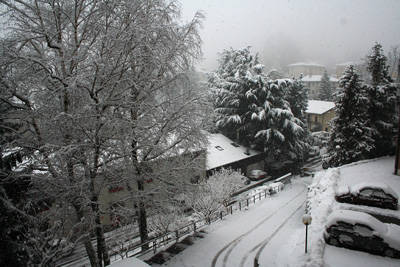 neve