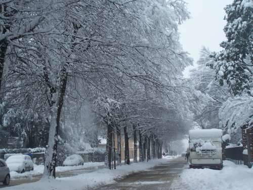 neve alberi sacconago busto arsizio 7-1-2009