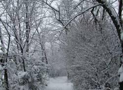 neve busto arsizio parco alto milanese 6-1-2009