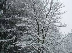 neve busto arsizio parco alto milanese 6-1-2009