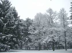 neve busto arsizio parco alto milanese 6-1-2009