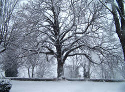 neve orino 6 gennaio 2009