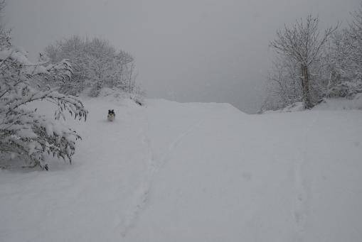 nevicata 2009 Caravate Giancarlo Bianchi