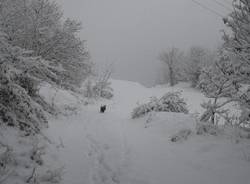 nevicata 2009 Caravate Giancarlo Bianchi