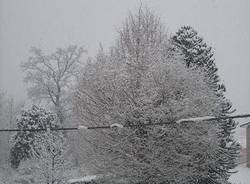 nevicata gennaio 2009 gurone di malnate