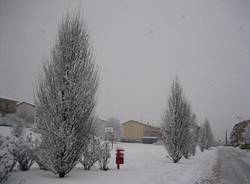 nevicata gennaio 2009 gurone di malnate