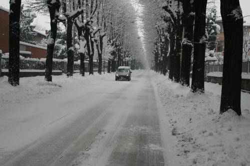 nevicata tradate 2009