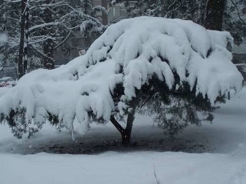 sacconago busto arsizio neve 6-1-2009