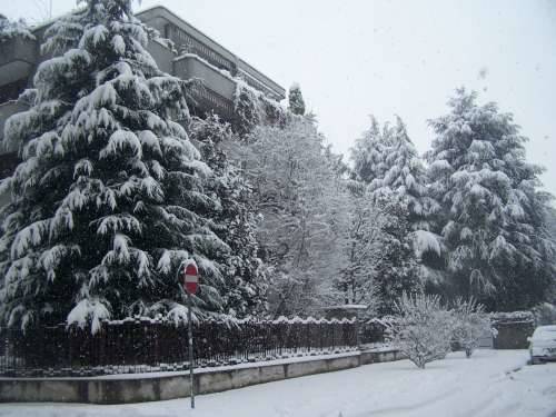 sacconago busto arsizio neve 6-1-2009