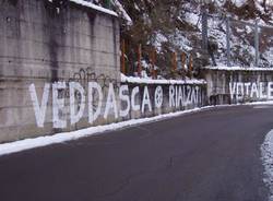 scritte lega veddasca