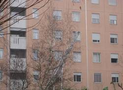 tentato suicidio gallarate