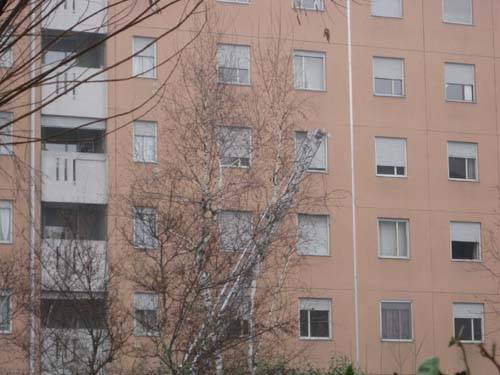 tentato suicidio gallarate