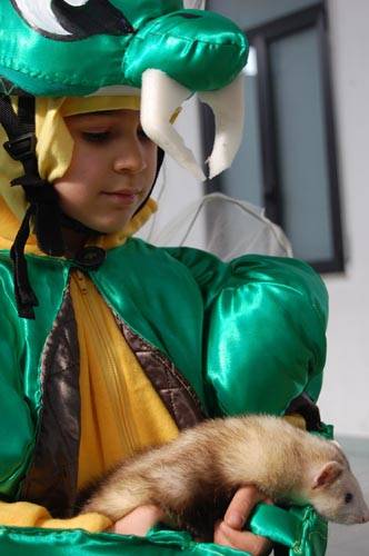 carnevale busto arsizio marnate furetti 2009