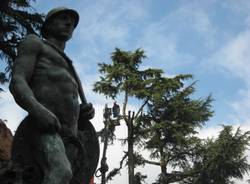 cedri abbattimento piazza repubblica