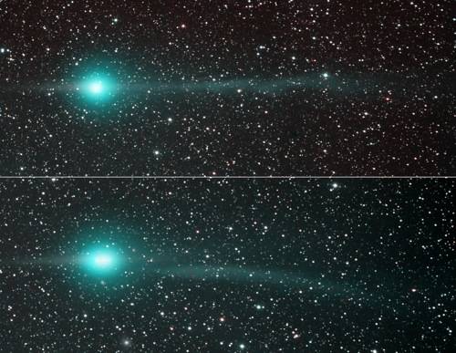 cometa lulin