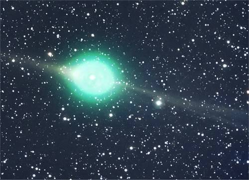 cometa lulin