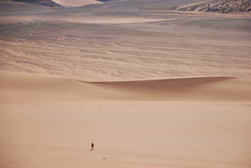 giancarlo iliprandi mostra chiostro voltorre segno e disegno