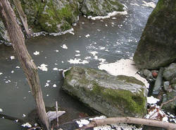 inquinamento torrente broveda
