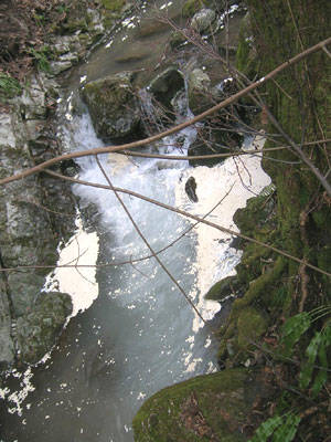 inquinamento torrente broveda