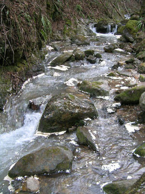 inquinamento torrente broveda