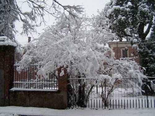 neve sacconago busto arsizio 2-2-2009