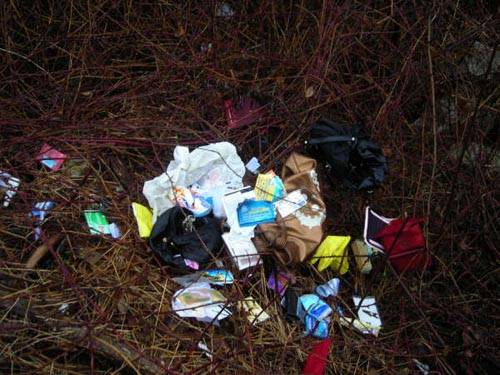 campo nomadi busto arsizio redentore