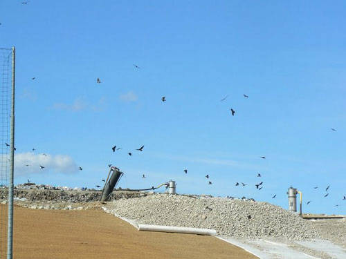 discarica mozzate galleria sacchetti