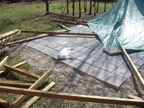 gatti gallarate gattile