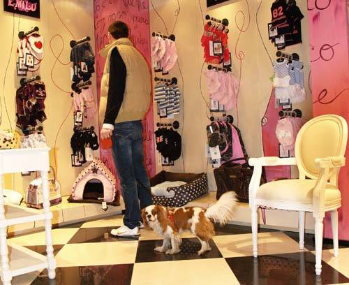 inaugurazione nuovo coin