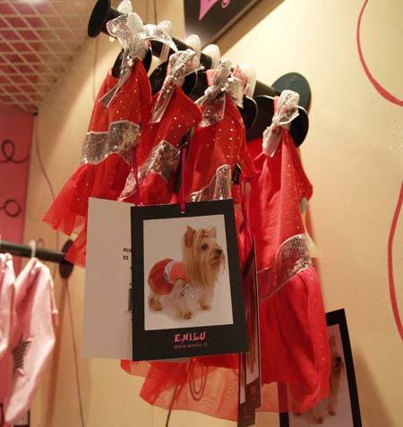 inaugurazione nuovo coin