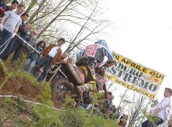 motocross besnate green pistons