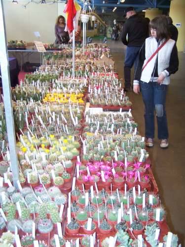 agrivarese 2009 malpensafiere 18-4-2009 taglio del nastro