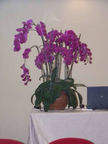 agrivarese 2009 malpensafiere 18-4-2009 taglio del nastro