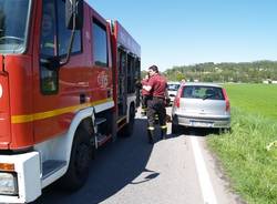 cane incidente