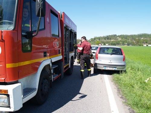 cane incidente