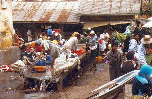 gemellaggio keynes madagascar aiuti popolazione