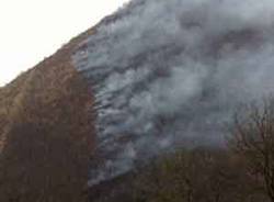 incendio mondonico