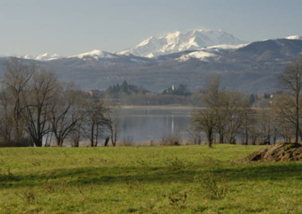 Monte rosa