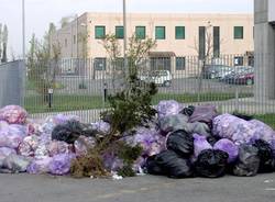 rifiuti liceo curie tradate