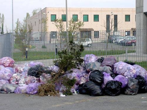 rifiuti liceo curie tradate