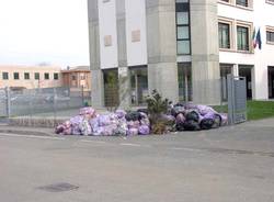 rifiuti liceo curie tradate