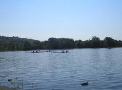 Canottaggio, gavirate, adaptive rowing