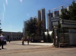 mondoplastico 60 anni busto arsizio