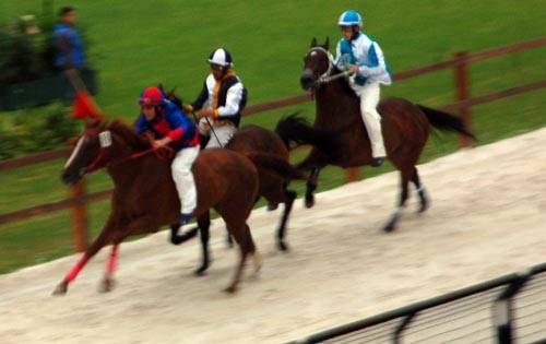 palio di legnano 2009