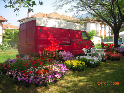 pro loco casciago agrifest 2009