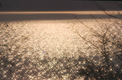 Riflessi sul lago