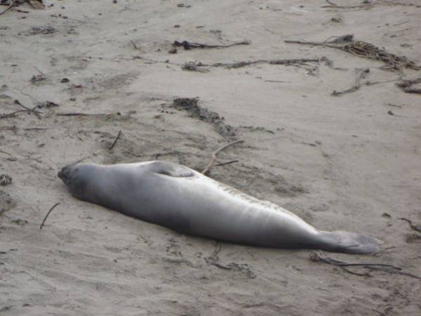 Sulle tracce di Thelma&Louise